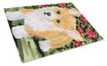 Corgi Cutting Board Tempered Glass Kitchen Cutting Surface, Heat Resistant Chopping, Non-Slip Feet, Food Prep & Serving