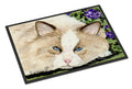 Cat Doormat Indoor Outdoor 24H X 36W Front Door Mat Rugs for Entryway, Non Slip Washable Low Pile,