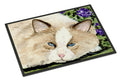 Cat Doormat Indoor Outdoor 18H X 27W Front Door Mat Rugs for Entryway, Non Slip Washable