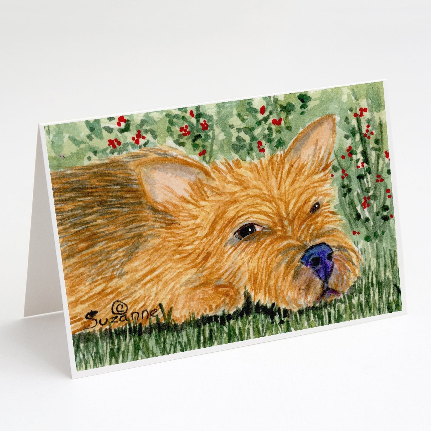 Norwich Terrier Greeting Cards Pack of 8 Blank Cards with Envelopes Whimsical A7 Size 5x7