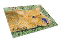 Norwich Terrier Cutting Board Tempered Glass Kitchen Cutting Surface, Heat Resistant Chopping, Non-Slip Feet, Food Prep & Serving