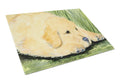 Golden Retriever Cutting Board Tempered Glass Kitchen Cutting Surface, Heat Resistant Chopping, Non-Slip Feet, Food Prep & Serving