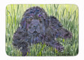 Newfoundland Memory Foam Kitchen Mat Machine Washable Anti-Fatigue Cushion Comfort Bath or Kitchen Rug