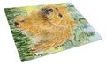 Norwich Terrier Cutting Board Tempered Glass Kitchen Cutting Surface, Heat Resistant Chopping, Non-Slip Feet, Food Prep & Serving