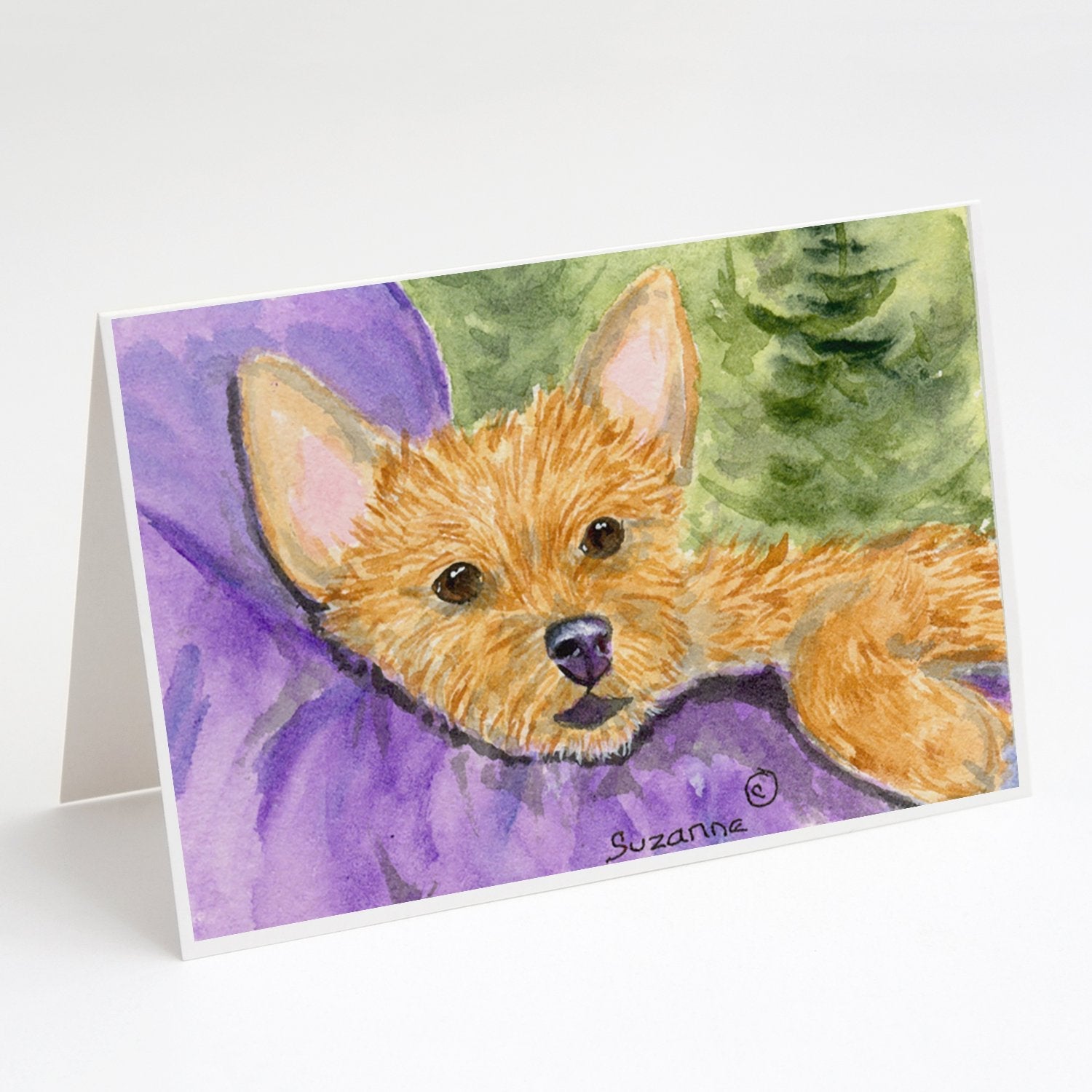 Norwich Terrier Greeting Cards Pack of 8 Blank Cards with Envelopes Whimsical A7 Size 5x7