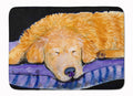 Golden Retriever Memory Foam Kitchen Mat Machine Washable Anti-Fatigue Cushion Comfort Bath or Kitchen Rug