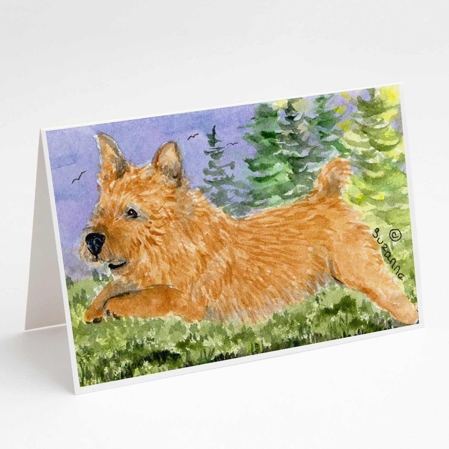 Norwich Terrier Greeting Cards Pack of 8 Blank Cards with Envelopes Whimsical A7 Size 5x7