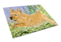 Norwich Terrier Cutting Board Tempered Glass Kitchen Cutting Surface, Heat Resistant Chopping, Non-Slip Feet, Food Prep & Serving