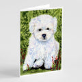Bichon Frise Greeting Cards Pack of 8 Blank Cards with Envelopes Whimsical A7 Size 5x7