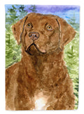 Chesapeake Bay Retriever House Flag 28x40 Porch Sleeve Pole Decorative Outside Yard Banner Artwork Wall Hanging, Polyester
