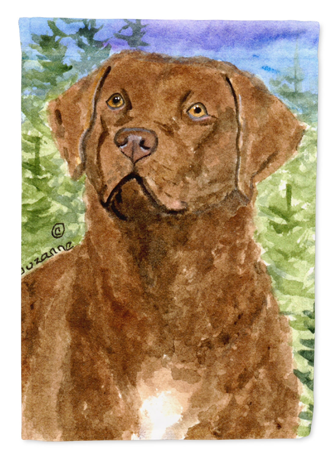 Chesapeake Bay Retriever House Flag 28x40 Porch Sleeve Pole Decorative Outside Yard Banner Artwork Wall Hanging, Polyester
