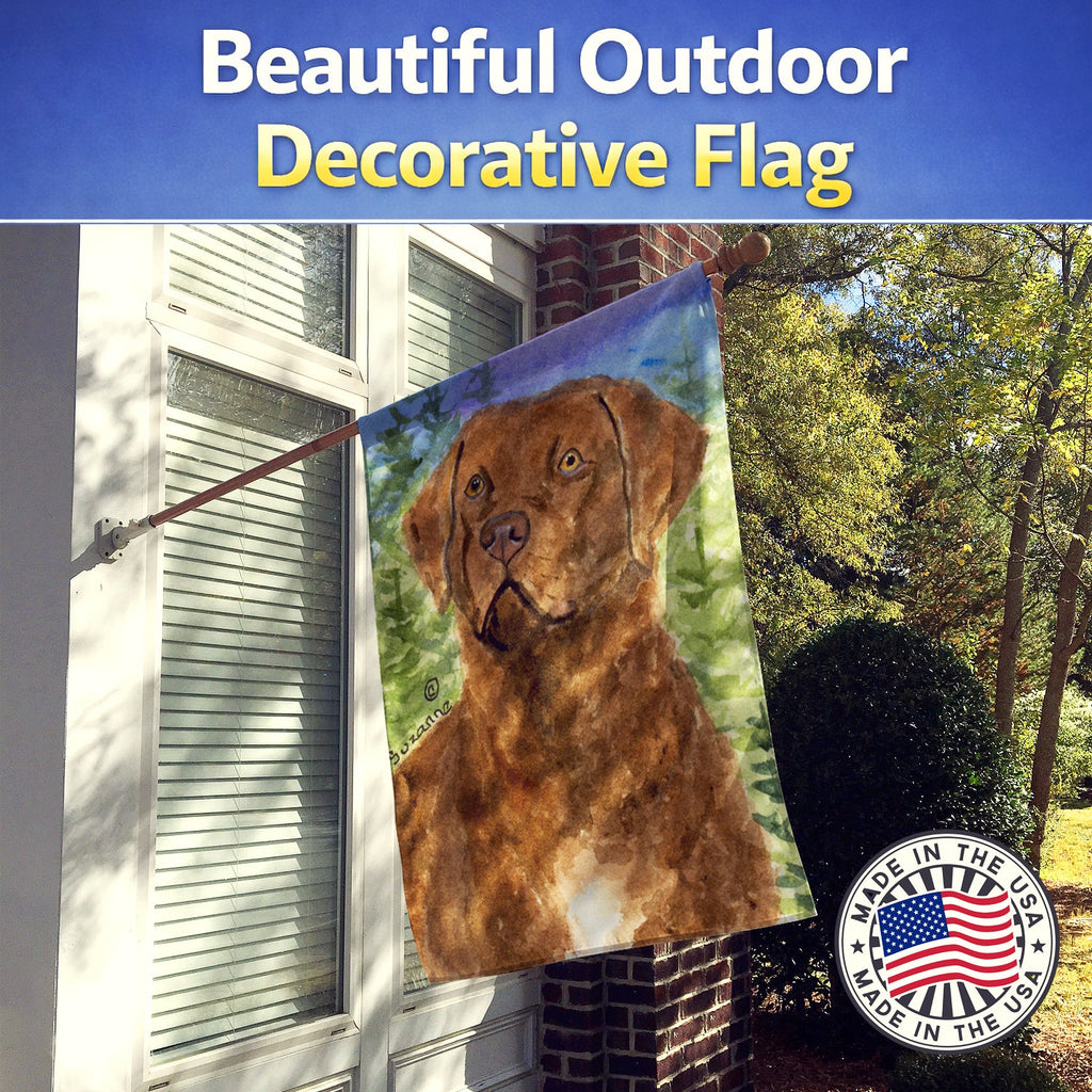 Chesapeake Bay Retriever House Flag 28x40 Porch Sleeve Pole Decorative Outside Yard Banner Artwork Wall Hanging, Polyester