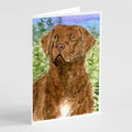 Chesapeake Bay Retriever Greeting Cards Pack of 8 Blank Cards with Envelopes Whimsical A7 Size 5x7