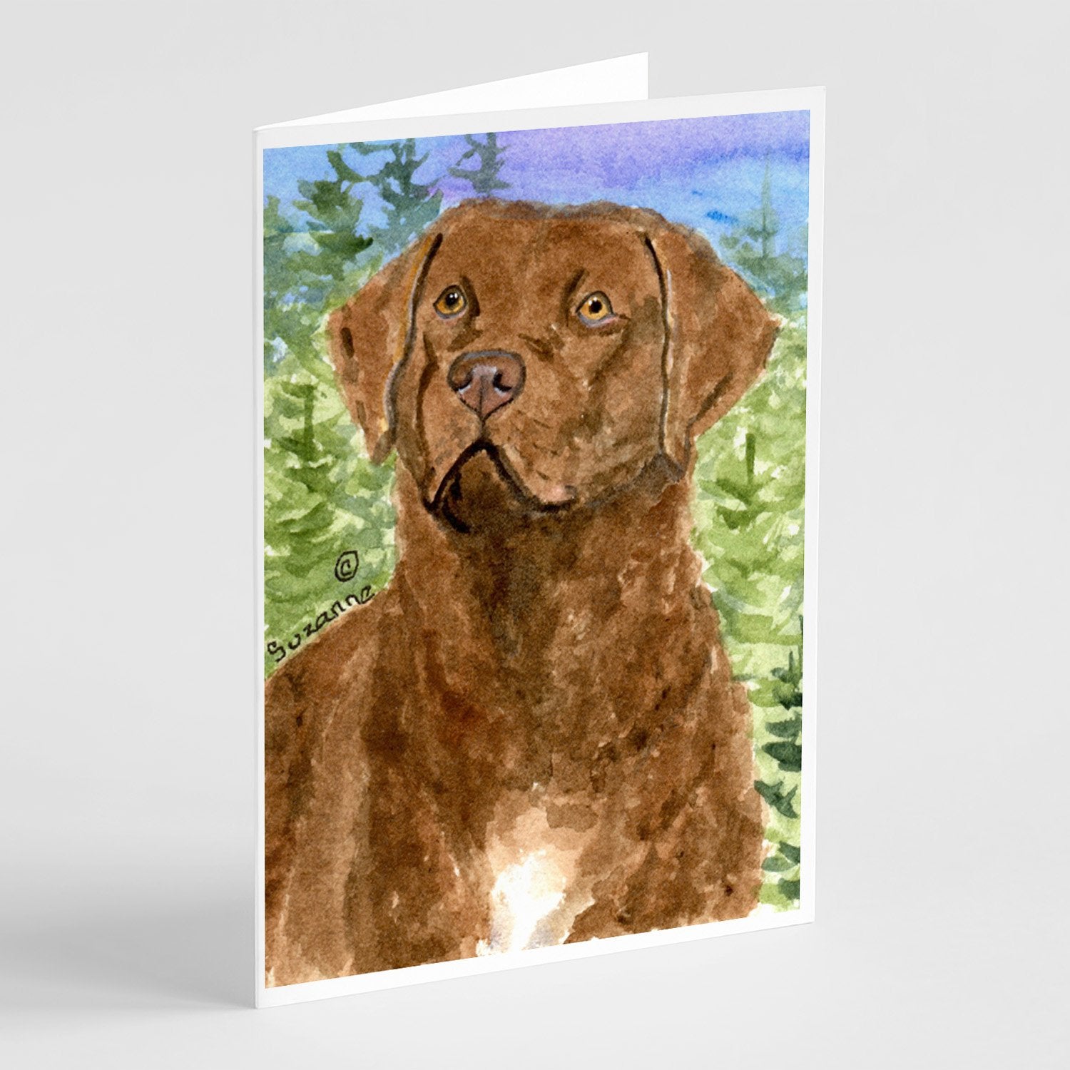 Chesapeake Bay Retriever Greeting Cards Pack of 8 Blank Cards with Envelopes Whimsical A7 Size 5x7