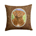 Chesapeake Bay Retriever Decorative Throw Pillow 14x14 Indoor Outdoor Accent Cushion, Fabric Cover with Insert for Sofa, Bed, Porch & Living Room
