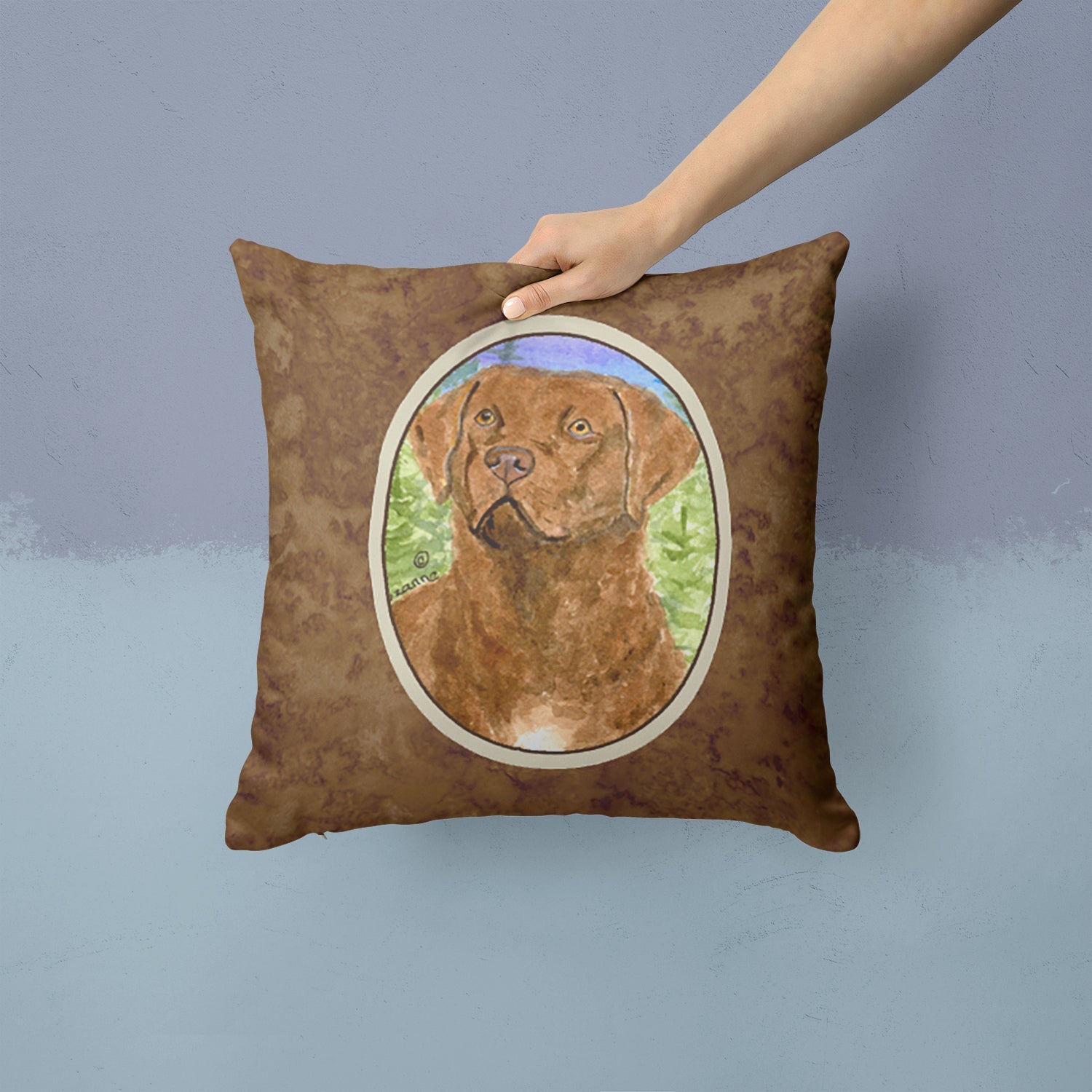 Chesapeake Bay Retriever Decorative Throw Pillow 14x14 Indoor Outdoor Accent Cushion, Fabric Cover with Insert for Sofa, Bed, Porch & Living Room