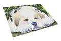 Golden Retriever Cutting Board Tempered Glass Kitchen Cutting Surface, Heat Resistant Chopping, Non-Slip Feet, Food Prep & Serving