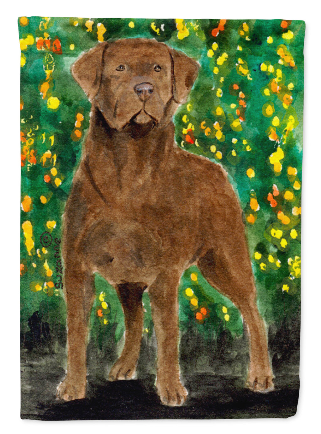 Chesapeake Bay Retriever House Flag 28x40 Porch Sleeve Pole Decorative Outside Yard Banner Artwork Wall Hanging, Polyester