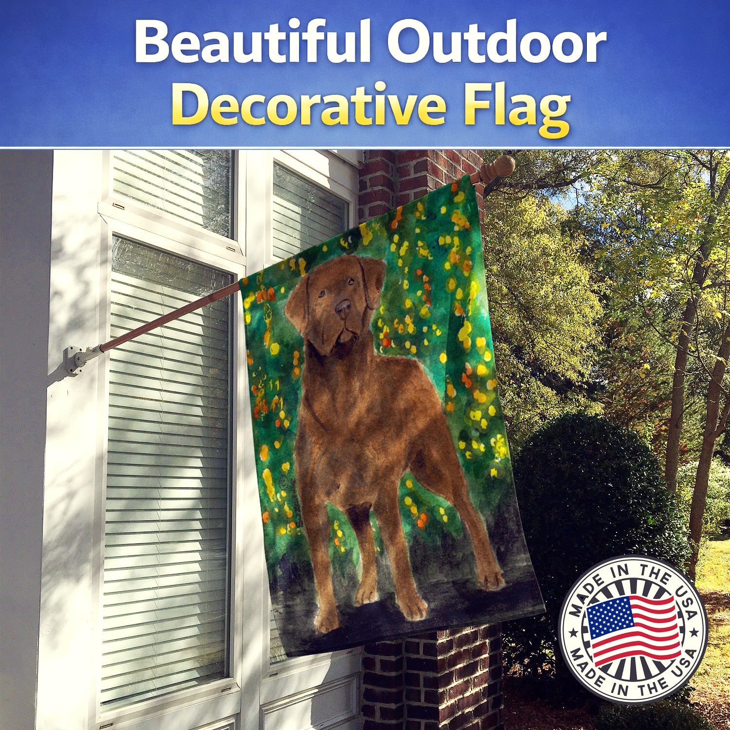 Chesapeake Bay Retriever House Flag 28x40 Porch Sleeve Pole Decorative Outside Yard Banner Artwork Wall Hanging, Polyester