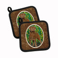 Chesapeake Bay Retriever Pot Holder Set of 2 Heat Resistant Quilted Hot Pads 7.5 x 7.5 Inch, Insulated Kitchen Trivets for Cooking & Baking