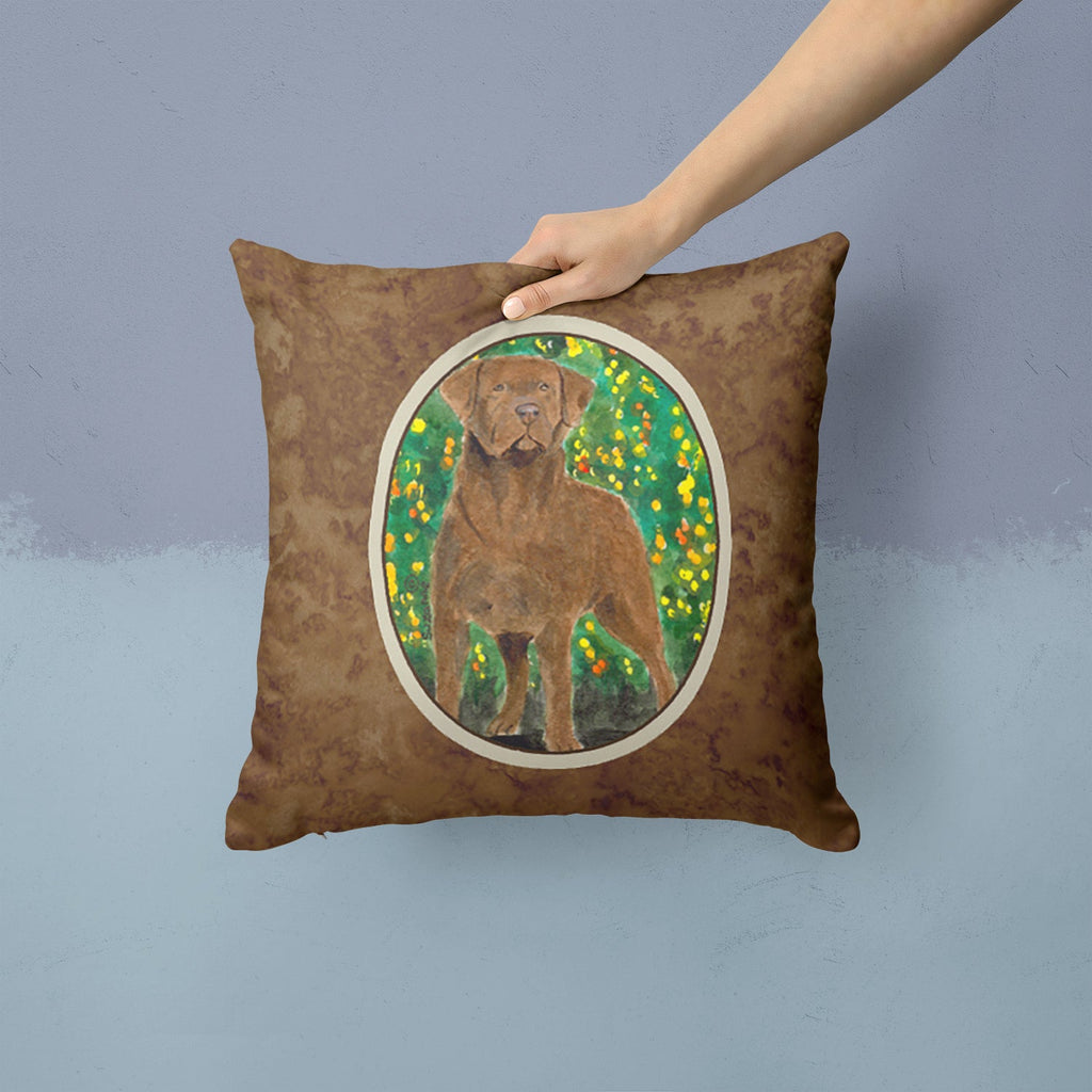Chesapeake Bay Retriever Decorative Throw Pillow 14x14 Indoor Outdoor Accent Cushion, Fabric Cover with Insert for Sofa, Bed, Porch & Living Room