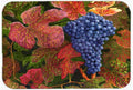 Grapes Of Joy by Malenda Trick Cutting Board Tempered Glass Kitchen Cutting Surface, Heat Resistant Chopping, Non-Slip Feet, Food Prep & Serving