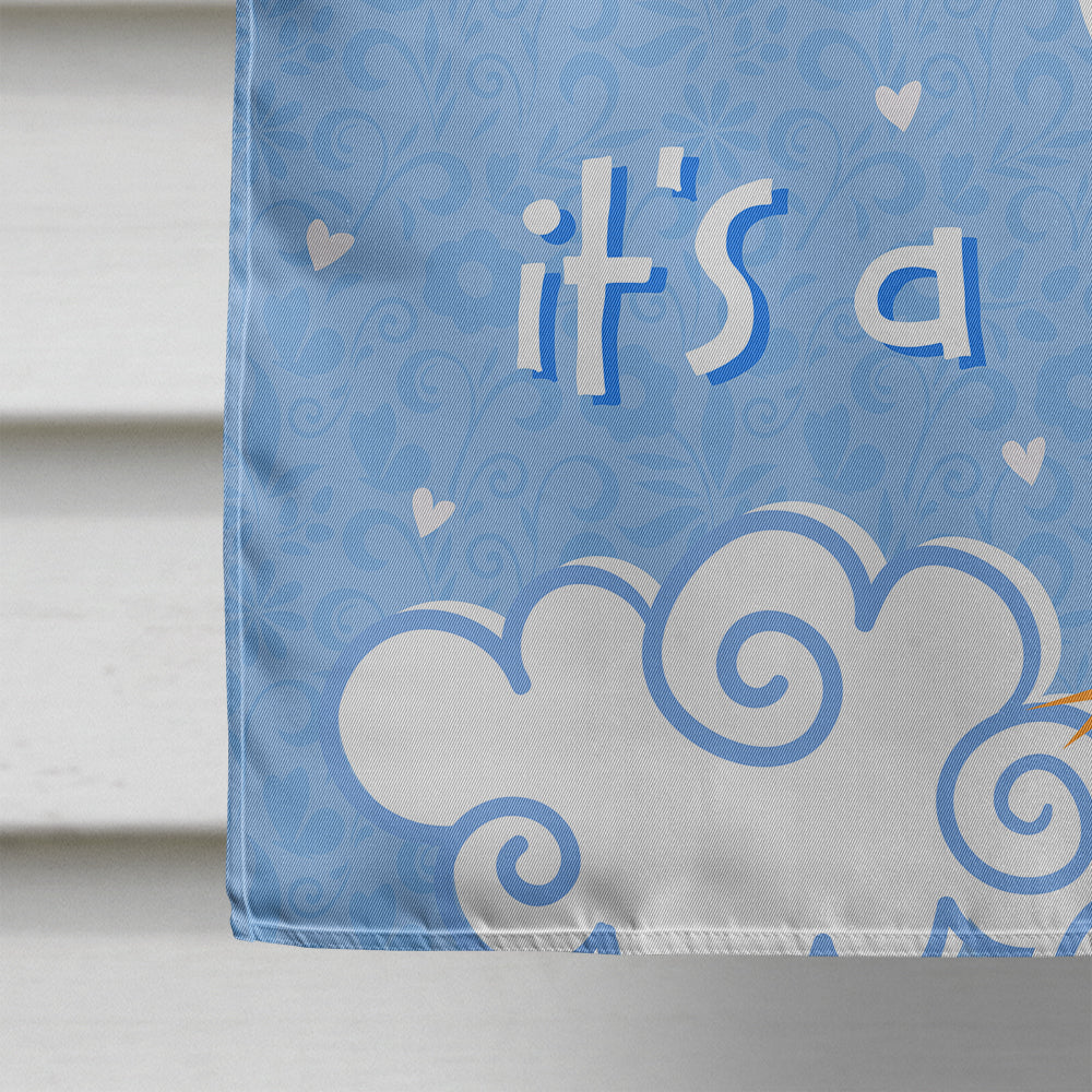 It's a Baby Boy House Flag 28x40 Porch Sleeve Pole Decorative Outside Yard Banner Artwork Wall Hanging, Polyester