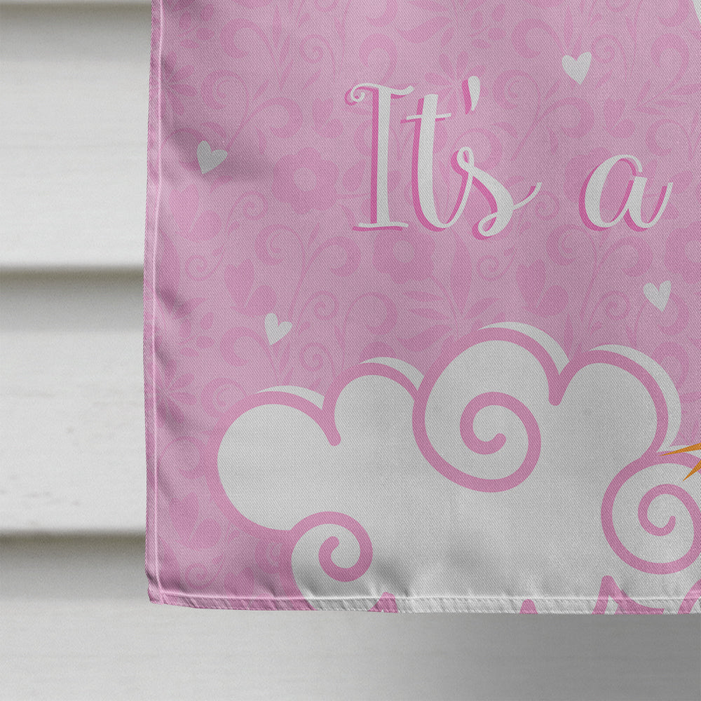 It's a Baby Girl House Flag 28x40 Porch Sleeve Pole Decorative Outside Yard Banner Artwork Wall Hanging, Polyester