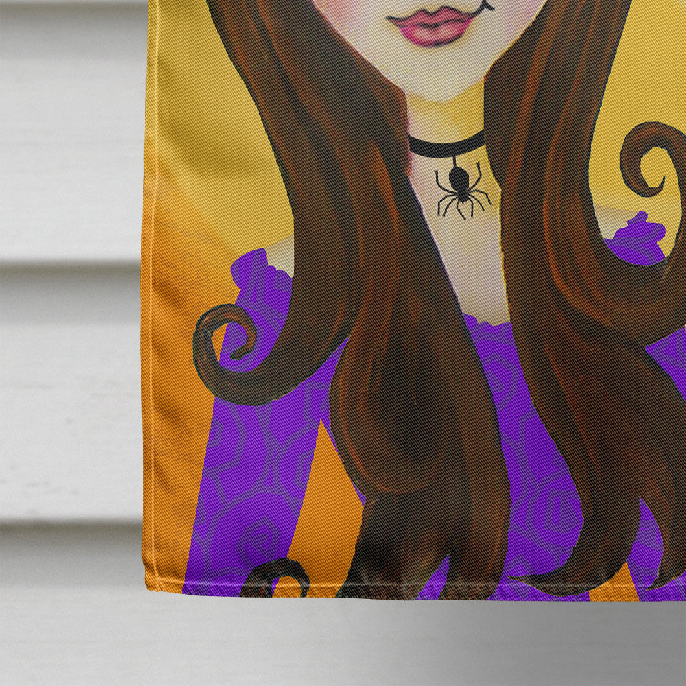 Halloween Wicked Witch House Flag 28x40 Porch Sleeve Pole Decorative Outside Yard Banner Artwork Wall Hanging, Polyester