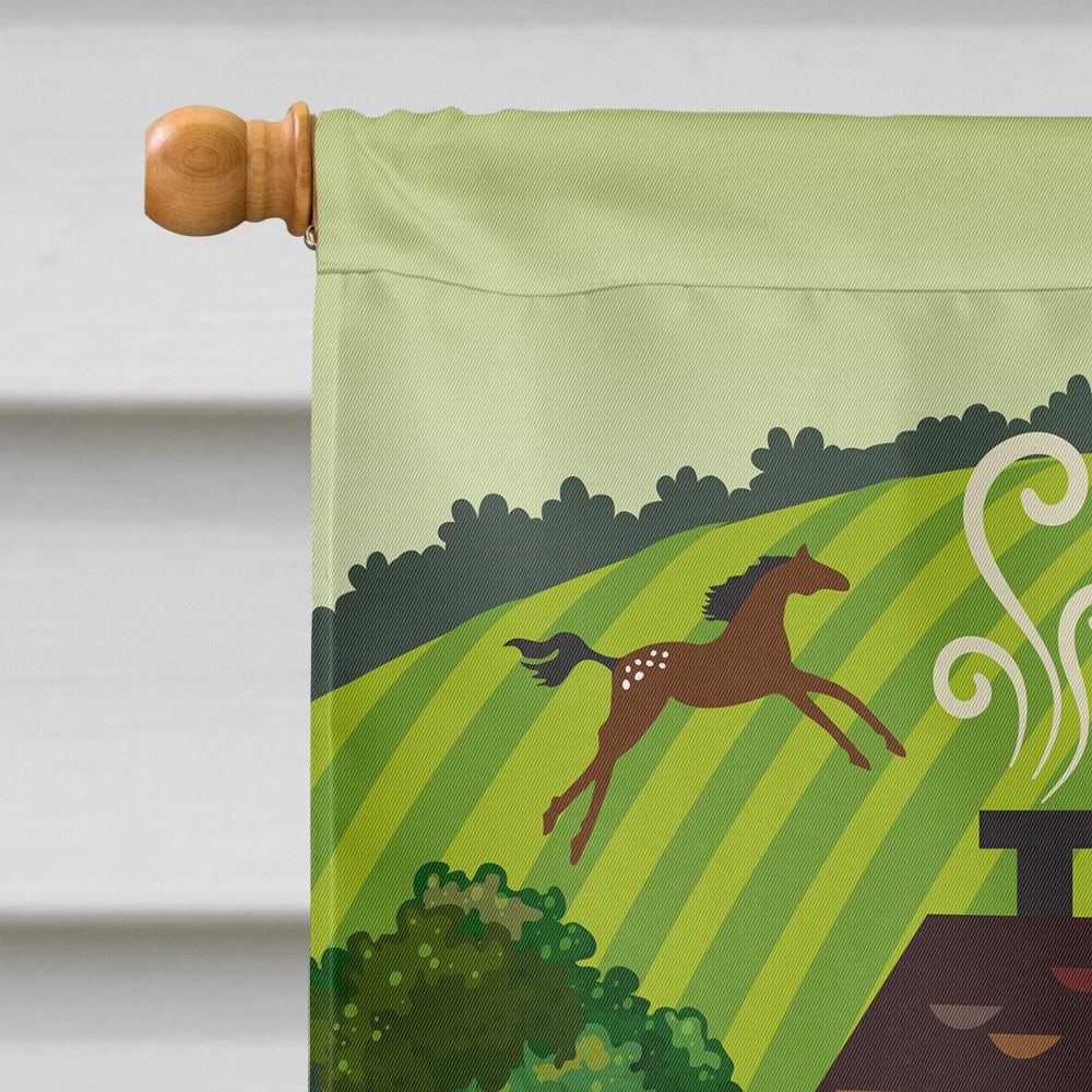 Folk Art Country House House Flag 28x40 Porch Sleeve Pole Decorative Outside Yard Banner Artwork Wall Hanging, Polyester