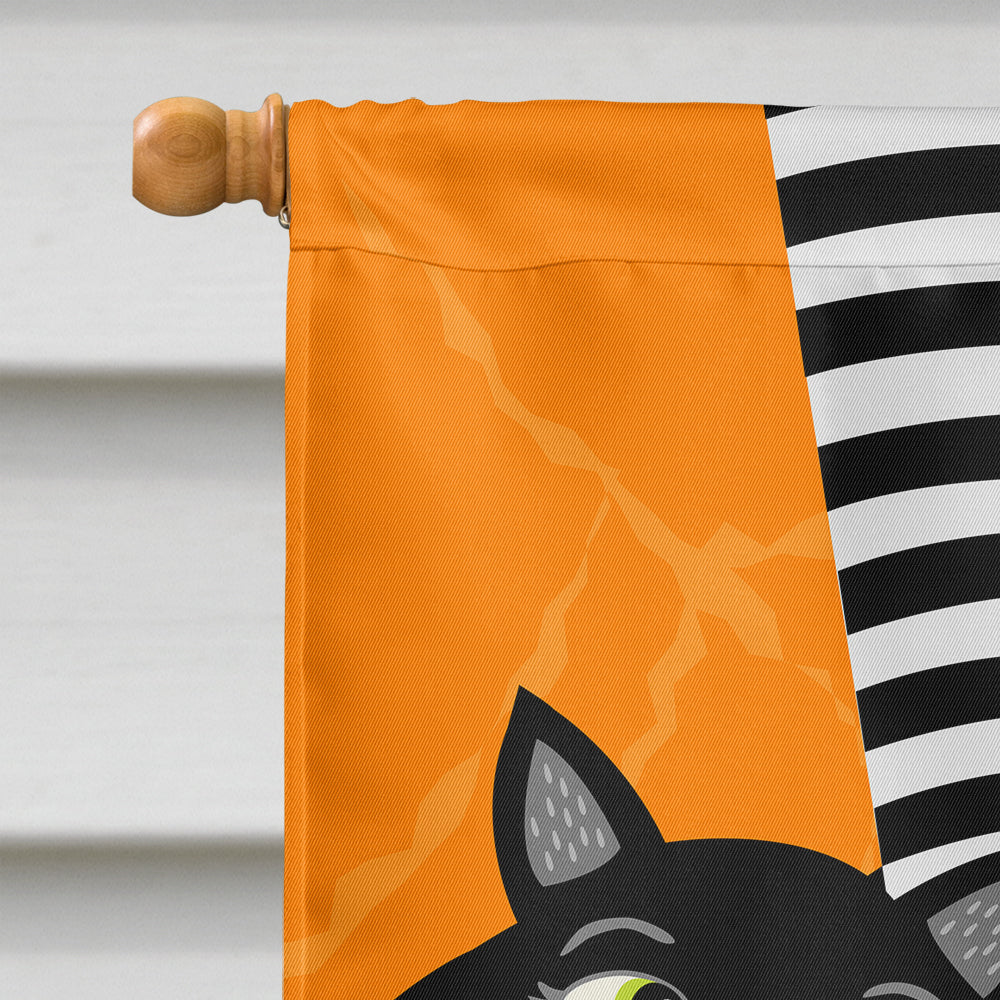 Halloween Witches Feet House Flag 28x40 Porch Sleeve Pole Decorative Outside Yard Banner Artwork Wall Hanging, Polyester