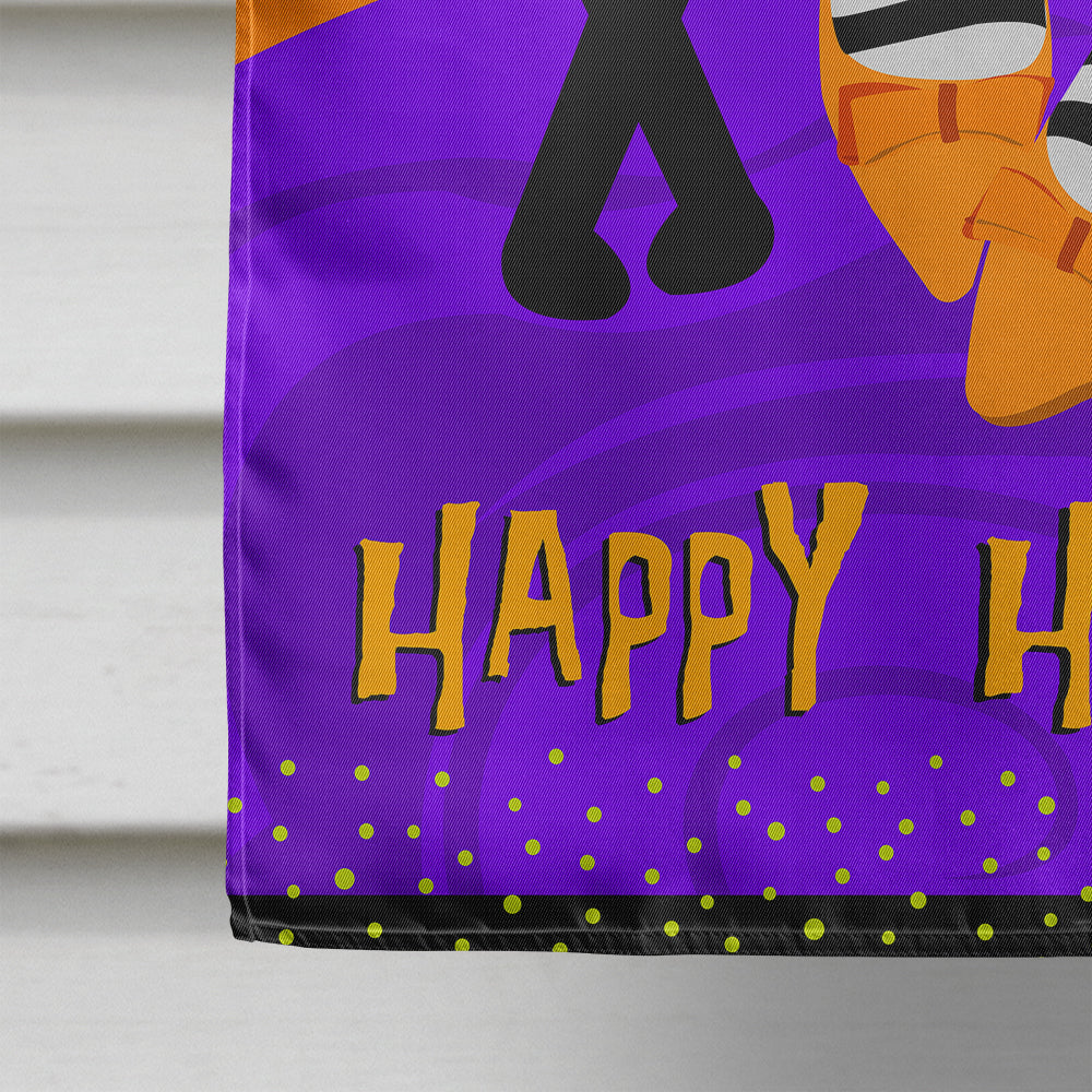 Halloween Witches Feet House Flag 28x40 Porch Sleeve Pole Decorative Outside Yard Banner Artwork Wall Hanging, Polyester