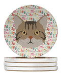 American Wirehair Cat Christmas Large Sandstone Coasters Pack of 4