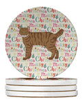 Highlander Lynx #3 Cat Christmas Large Sandstone Coasters Pack of 4