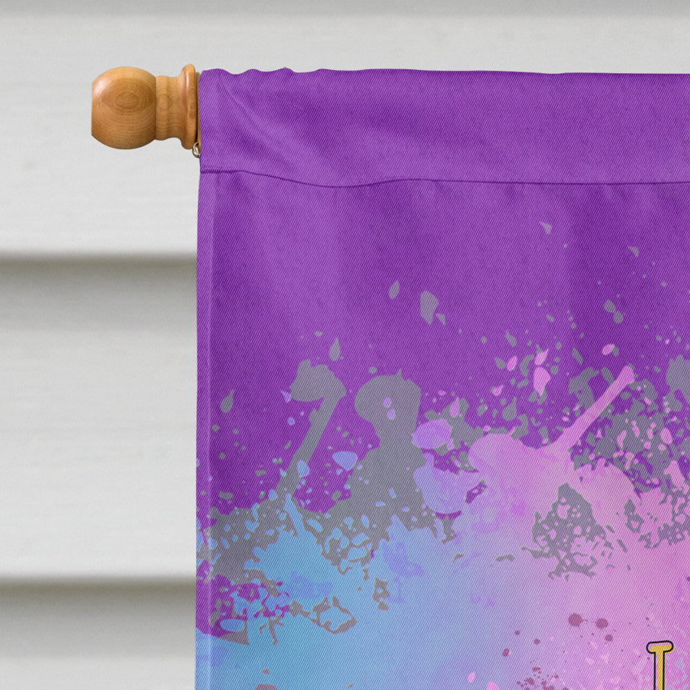 Laissex Les bons Temps Rouler Mardi Gras House Flag 28x40 Porch Sleeve Pole Decorative Outside Yard Banner Artwork Wall Hanging, Polyester