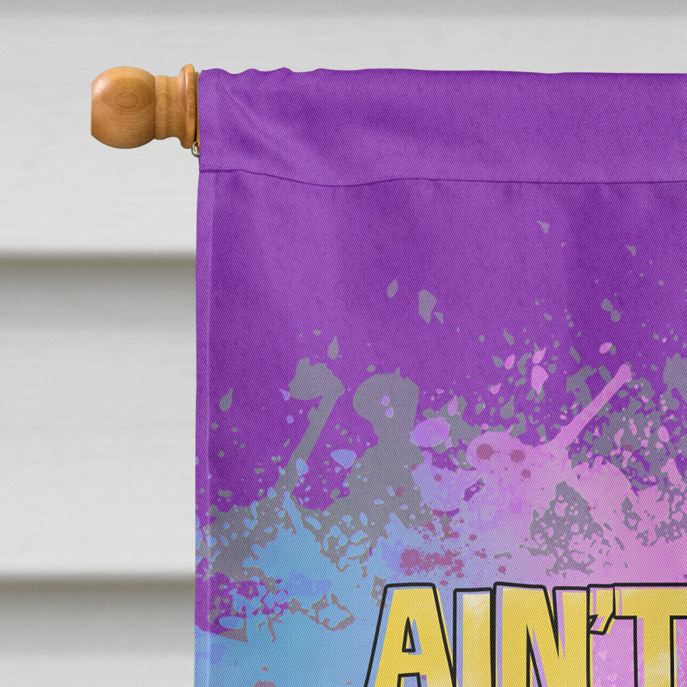 Ain't No Party Like Mardi Gras House Flag 28x40 Porch Sleeve Pole Decorative Outside Yard Banner Artwork Wall Hanging, Polyester