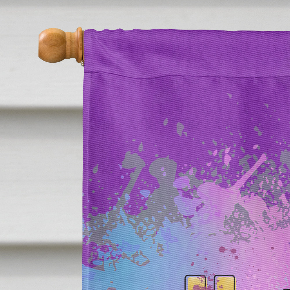 Happy Mardi Gras House Flag 28x40 Porch Sleeve Pole Decorative Outside Yard Banner Artwork Wall Hanging, Polyester