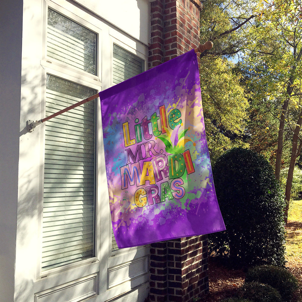 Little Mr. Mardi Gras House Flag 28x40 Porch Sleeve Pole Decorative Outside Yard Banner Artwork Wall Hanging, Polyester