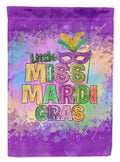 Little Miss Mardi Gras House Flag 28x40 Porch Sleeve Pole Decorative Outside Yard Banner Artwork Wall Hanging, Polyester