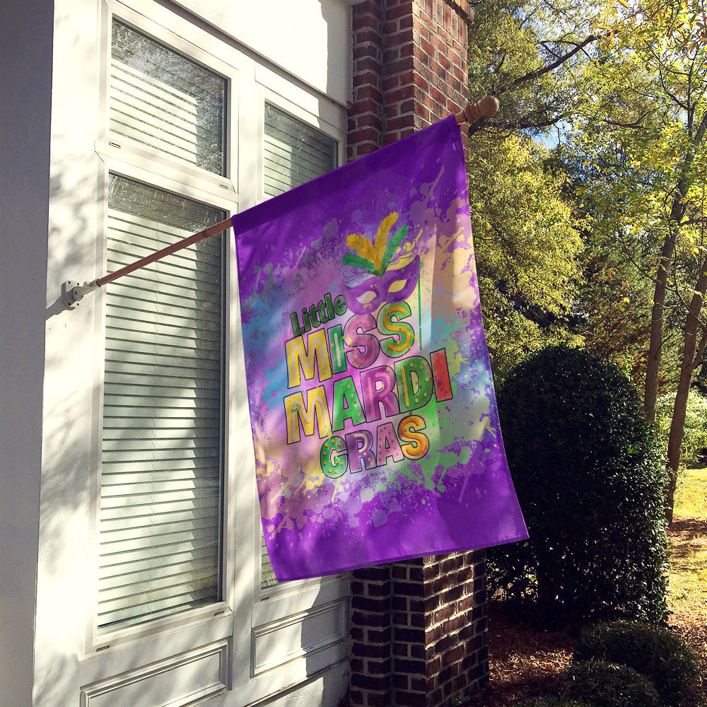 Little Miss Mardi Gras House Flag 28x40 Porch Sleeve Pole Decorative Outside Yard Banner Artwork Wall Hanging, Polyester