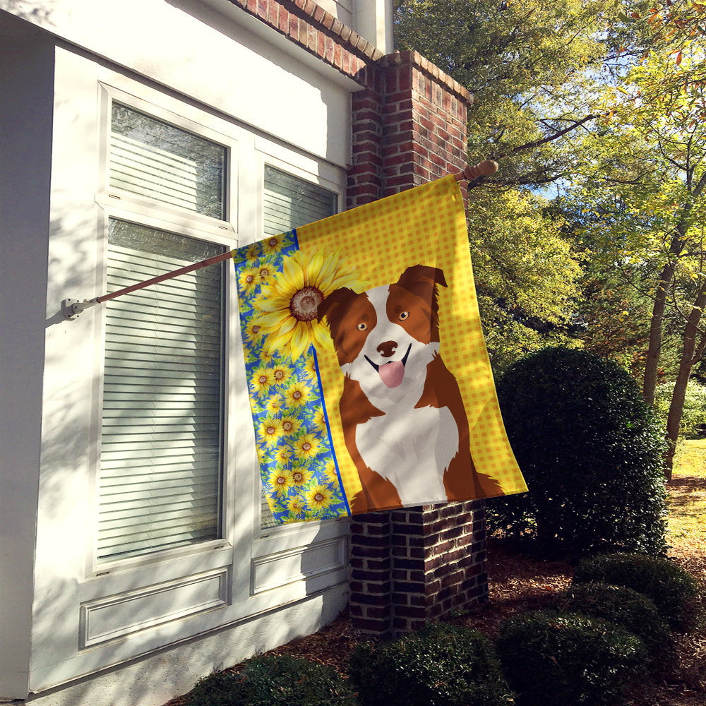 Summer Sunflowers Red and White Border Collie House Flag 28x40 Porch Sleeve Pole Decorative Outside Yard Banner Artwork Wall Hanging, Polyester