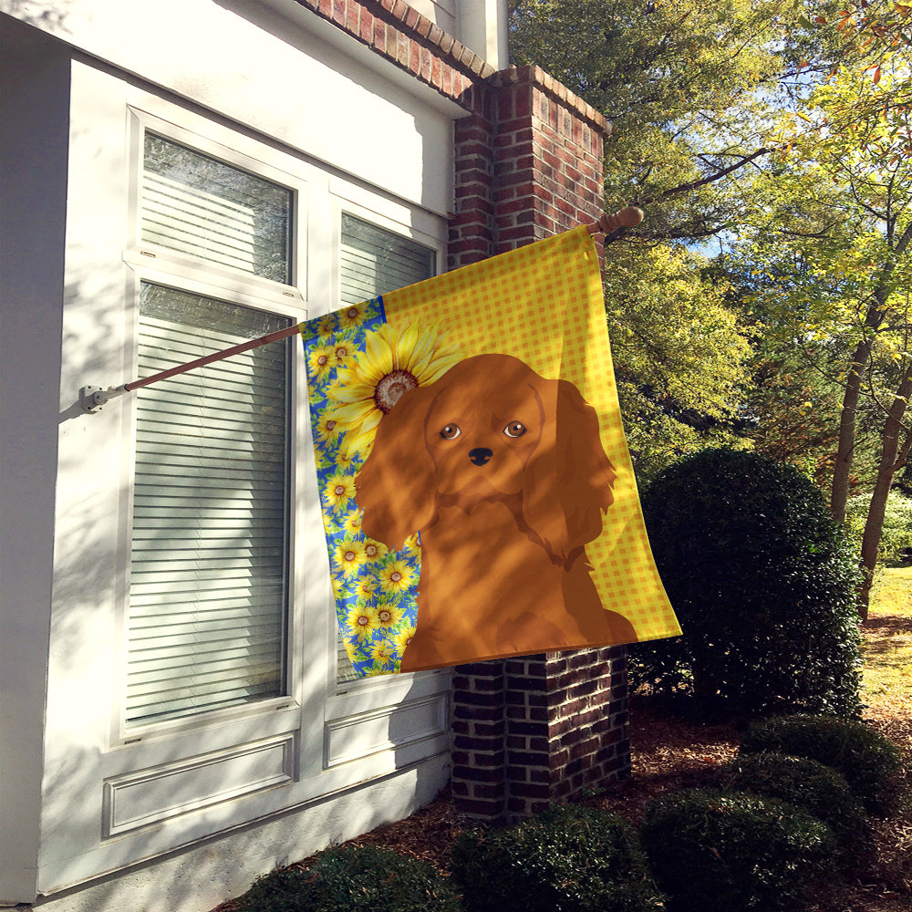 Summer Sunflowers Ruby Cavalier Spaniel House Flag 28x40 Porch Sleeve Pole Decorative Outside Yard Banner Artwork Wall Hanging, Polyester