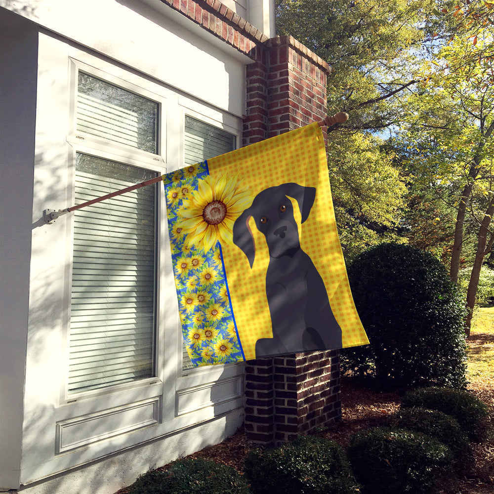 Summer Sunflowers Black Great Dane House Flag 28x40 Porch Sleeve Pole Decorative Outside Yard Banner Artwork Wall Hanging, Polyester