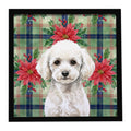 Toy White Poodle Christmas PoinsettIas Framed Metal Print Bathroom, Kitchen, Office, Home Decor Wall Art Ready to Hang, Square, 8X8