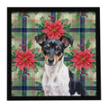 Black and White Rat Terrier Christmas PoinsettIas Framed Metal Print Bathroom, Kitchen, Office, Home Decor Wall Art Ready to Hang, Square, 8X8
