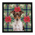 Chocolate and White Rat Terrier Christmas PoinsettIas Framed Metal Print Bathroom, Kitchen, Office, Home Decor Wall Art Ready to Hang, Square, 8X8