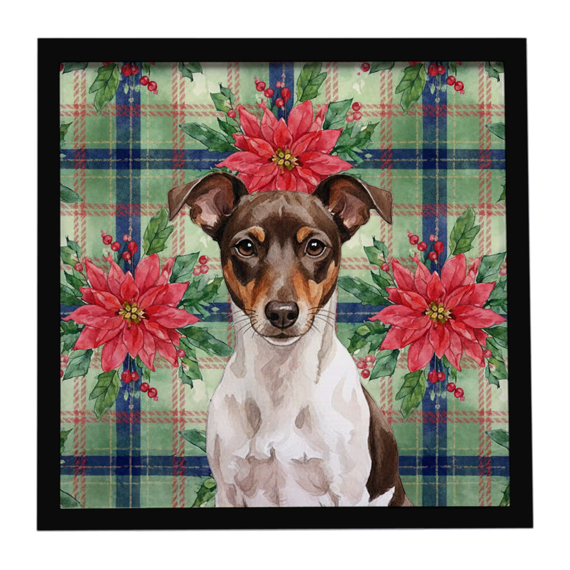 Chocolate and White Rat Terrier Christmas PoinsettIas Framed Metal Print Bathroom, Kitchen, Office, Home Decor Wall Art Ready to Hang, Square, 8X8