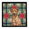 Rhodesian Ridgeback Christmas PoinsettIas Framed Metal Print Bathroom, Kitchen, Office, Home Decor Wall Art Ready to Hang, Square, 8X8