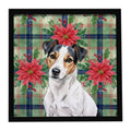 White with Black Markings Russell Terrier Christmas PoinsettIas Framed Metal Print Bathroom, Kitchen, Office, Home Decor Wall Art Ready to Hang, Square, 8X8