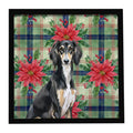 Black and Tan Saluki Christmas PoinsettIas Framed Metal Print Bathroom, Kitchen, Office, Home Decor Wall Art Ready to Hang, Square, 8X8